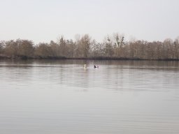 Apnée La Frette 25-02-2021